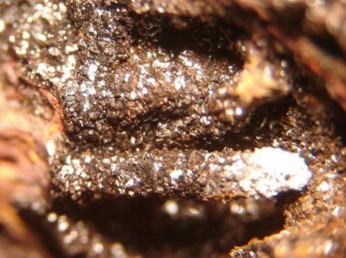 Estalactita de goethita/hematita (1cm) en crosta ferruginosa. Morro das Balas, Formiga, Minas Gerais- Brasil (Autor: Anisio Claudio)