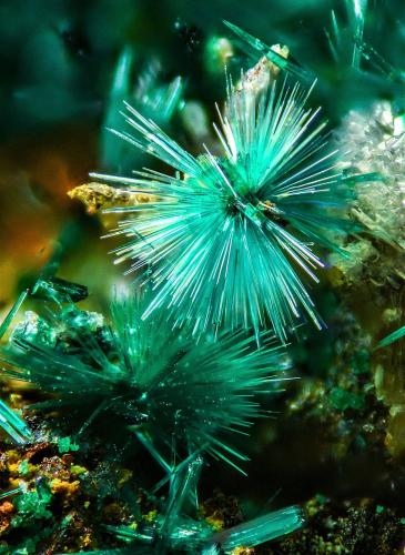 Brochantita<br />Mina Golosina, Cala del Mal Paso, Cuevas del Almanzora, Comarca Levante Almeriense, Almería, Andalucía, España<br />4 mm<br /> (Autor: Borja Sainz de Baranda)