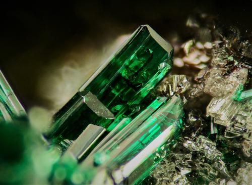 Atacamita<br />Mina La Estrella, Barranco del Jaroso, Sierra Almagrera, Cuevas del Almanzora, Comarca Levante Almeriense, Almería, Andalucía, España<br />2 mm<br /> (Autor: Borja Sainz de Baranda)