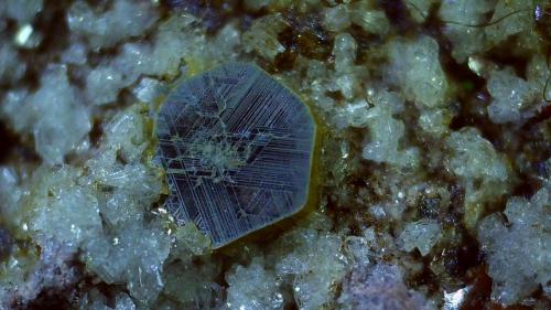 Osumilite, Tridymite, Muscowite<br />Cantera Funtanafigu, Marrubiu, Monte Arci, Provincia Oristano, Cerdeña/Sardegna, Italia<br />1,5 x 1,3 cm<br /> (Author: Volkmar Stingl)