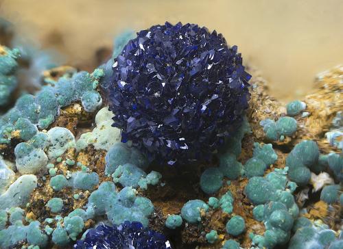 Azurita y malaquita<br />Minas de Cala, Cala, Comarca Sierra de Huelva, Huelva, Andalucía, España<br />Campo de visión de  5 mm.<br /> (Autor: Antonio Carmona)