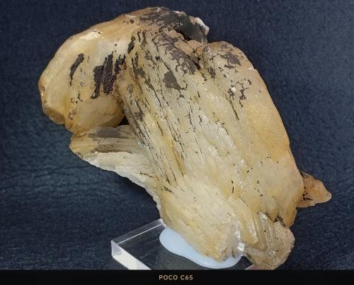 Barita<br />Mina San Camilo, Vista Alegre, Cartagena, Comarca Campo de Cartagena, Región de Murcia (Murcia), España<br />10 x 12 cm.<br /> (Autor: Felipe Abolafia)