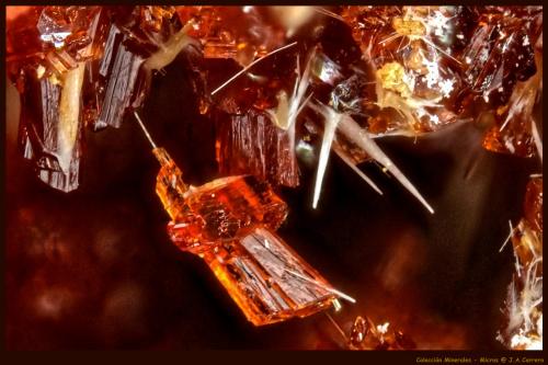 Botriogeno<br />Minas de Río Tinto, Minas de Riotinto, Comarca Cuenca Minera, Huelva, Andalucía, España<br />FoV: 1,2 x 0,8 mm<br /> (Autor: Jose Angel Carrero)