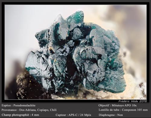 Pseudomalachite<br />Mina Dos Adriana, Distrito Zapallar, Provincia Copiapó, Región Atacama, Chile<br />fov 4 mm<br /> (Author: ploum)