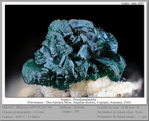 Pseudomalachite<br />Mina Dos Adriana, Distrito Zapallar, Provincia Copiapó, Región Atacama, Chile<br />fov 4.5 mm<br /> (Author: ploum)