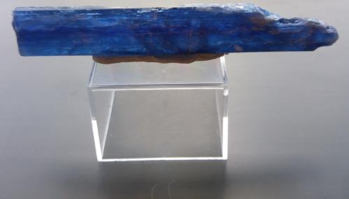 Cianita<br />Araçuaí, Vale do Jequitinhonha, Minas Gerais, Brasil<br />8,5 x 1,2 cm<br /> (Autor: Vitor de Carvalho Maia)