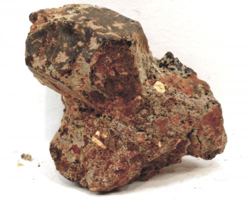 Augita<br />Afloramiento de Basaltos, Igueste de San Andres, Santa Cruz de Tenerife, Tenerife, Provincia de Santa Cruz de Tenerife, Canarias, España<br />26 x 23 x 21 mm<br /> (Autor: José Luis Zamora)