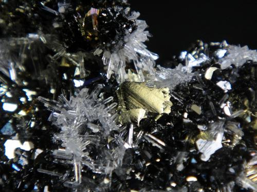 Calcopirita, Cuarzo, Esfalerita<br />Mina Krushev dol, Zona minera Madan, Montes Rhodope, Smolyan Oblast, Bulgaria<br />Campo de visión 4 cm.<br /> (Autor: Antonio P. López)