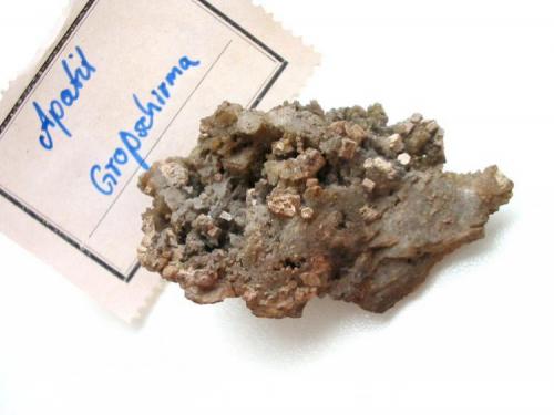 "Pseudoapatite", a pseudo of apatite after pyromorphite appearing as greyish crystals up to 4 mm on baryte matrix from the Churprinz Friedrich August mine, Großschirma, Freiberg district, Saxony. The more famous German locality for "pseudoapatites" is the Lorenz Gegentrum dump, Halsbrücke, Freiberg district, Saxony. With Bergakademie Freiberg label (1930). (Author: Andreas Gerstenberg)