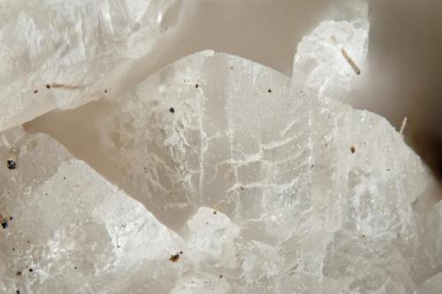 Eudidymite
Poudrette quarry (Demix quarry; Uni-Mix quarry; Desourdy quarry; Carrière Mont Saint-Hilaire), Mont Saint-Hilaire, Rouville RCM, Montérégie, Québec, Canada
FOV=2mm (Author: Doug)