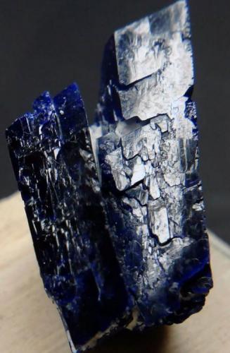 Azurita
Mina Milpillas, Sonora, México
1.1 cm x 1.9 cm x 1.6 cm (Autor: williams antonio pulido)