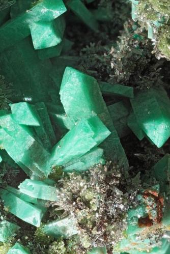 Adamite (var. cuprian adamite), Mimetite, Duftite,  Conichalcite
Tsumeb, Namibia
Largest crystal 3 mm (Author: Herman van Dennebroek)