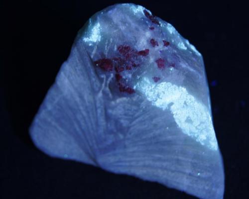 Espinela y Pargasita - Fluorescente
Luc Yen, Yenbai. Vietnam
8 x 7 cm
Luz UV onda corta. (Autor: Daniel C.M.)