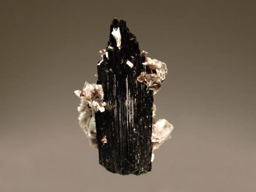 Aegirine
Poudrette Quarry, Mont Saint-Hilaire, Monteregie, Quebec, Canada
3.0 x 4.7 cm.
Lustrous aegirine crystal with small bladed gray albite and white microcline crystals attached to the sides and back. (Author: crosstimber)