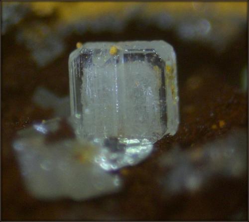 Cerusita
Sierra de las Nieves - Málaga - Andalucía - España
encuadre  3 mm (Autor: Mijeño)