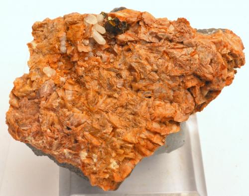 Calcopirita, Dolomita y Cuarzo -
Pedrera de la Muntanyeta Negra - La Llosa - Plana Baixa - Castelló - Comunitat Valenciana - España -
5,8 x 4,7 x 3,2 cm (Autor: Martí Rafel)
