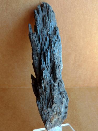 Cianita
Malacacheta, Minas Geraes, Brasil
12 x 3,5 x 2,5 cm.
Vista posterior (Autor: Felipe Abolafia)