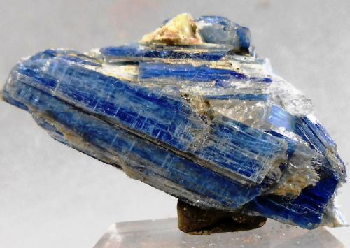 Cianita<br />Virgem da Lapa, Vale do Jequitinhonha, Minas Gerais, Brasil<br />42X25 mm<br /> (Autor: Juan Espino)