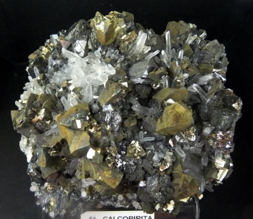Calcopirita, Esfalerita y Cuarzo.<br />Distrito minero Huaron, Distrito Huayllay, Provincia Pasco, Departamento Pasco, Perú<br />110x100 mm.<br /> (Autor: Jesus Franquesa Baucells)