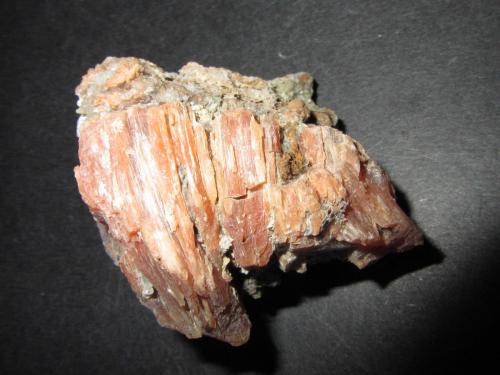 Celestina<br />Fonelas, Comarca Guadix, Granada, Andalucía, España<br />4''5 x 3''5 cm.<br /> (Autor: prcantos)