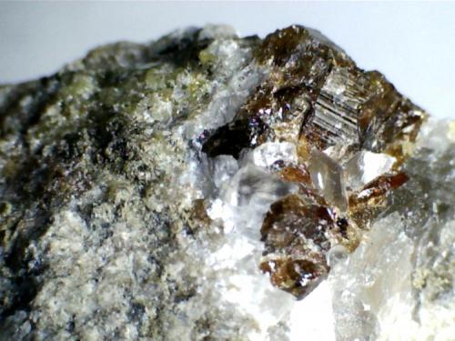 Carbonatita: más cristales de vesubianita (misma roca).
Cove Creek exposure, Magnet Cove, Hot  Spring County, Arkansas (Estados Unidos)
20X (Autor: prcantos)
