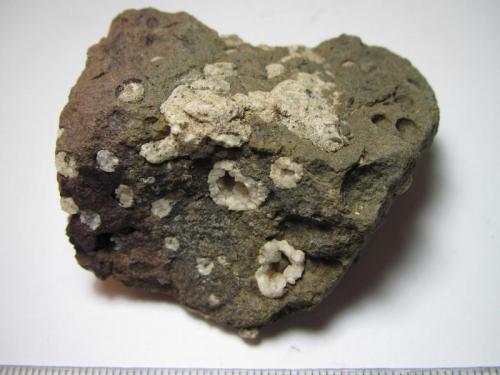 Basalto amigdaloide
El Peñón, Alamedilla, Granada, Andalucía, España
5’5 x 5’5 cm.
Basalto o basanita con cavidades rellenas por calcita ± zeolitas. (Autor: prcantos)