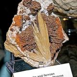 Aragonite and Dolomite (veriety ferroan dolomite) on QuartzAfloramientos antigua Carretera Estatal 37, Bloomington (Norte), Condado Monroe, Indiana, USAAragonite is 7 cm max dimension (Author: Bob Harman)