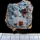 Calcite, Aragonite and Dolomite (variety ferroan) on QuartzKeokuk, Condado Lee, Iowa, USAgeode is about 3.3 cm, calcite is 0.7 cm, aragonite spray is 1.3 cm (Author: Bob Harman)