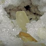 Barite and Calcite on QuartzZona Harrodsburg, Clear Creek, Condado Monroe, Indiana, USAcalcite is 8 cm     barite is 4.7 cm (Author: Bob Harman)