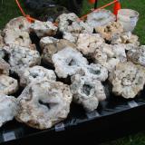 _Field and stream geodes for sale at a recent Bloomington rock show (Author: Bob Harman)