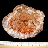 Celestine and CalciteDistrito San Rafael, Condado Emery, Utah, USAThe largest Celestine crystals are 0.9 cm (Author: Bob Harman)