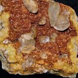 Calcite on DolomiteAfloramientos Carretera Estatal 56, Canton, Condado Washington, Indiana, USA14 cm x 14 cm.   the calcites are 1 cm - 4 cm (Author: Bob Harman)