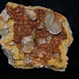 Calcite on DolomiteAfloramientos Carretera Estatal 56, Canton, Condado Washington, Indiana, USA14 cm x 14 cm.  the calcites 1 cm - 4 cm (Author: Bob Harman)