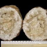 Calcites on QuartzAfloramientos Carretera Estatal 56, Canton, Condado Washington, Indiana, USAgeode is 14 cm x 12 cm. Calcites are up to 2.2 cm (Author: Bob Harman)