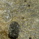 Esquisto con cloritoide y granateLaujar de Andarax, Comarca Alpujarra Almeriense, Almería, Andalucía, España11 x 12 x 3 cm. (Autor: Felipe Abolafia)