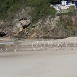 El afloramiento de gneis "ollo de sapo" se encuentra en la margen derecha de la playa. (Autor: Jesús López)