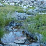 A small mountain stream. (Author: Pierre Joubert)