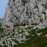 Las calizas están karstificadas, tal como indican los grandes caudales de algunos manantiales en la base de la montaña, las formas de erosión, el lapiaz en superficie y algunas cuevas a la vista. (Autor: Josele)