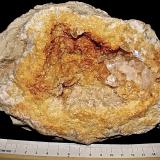 Calcite on DolomiteCondado Washington, Indiana, USAOval example 16 cm x 12 cm. Calcites up to 1.3 cm (Author: Bob Harman)