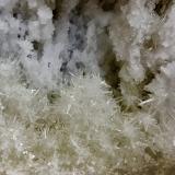 Calcite on Quartz (variety milky)Condado Washington, Indiana, USA15 cm x 15 cm (Author: Bob Harman)