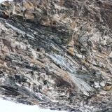 Actinolite in TalcHennsteige, Zemmgrund, Valle Ziller (Zillertal), Tirol Norte, Tirol, Austria23 x 11 cm (Author: Volkmar Stingl)