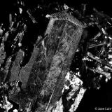 Aegirina. 
Monte Malosa. Malawi. 
7x5 cm. Cristal mayor 4 cm. (Autor: Juan Luis Castanedo)
