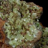 Adamite
Ojuela Mine, Mapimí, Mun. de Mapimí, Durango, Mexico
12x7 cm.
Crystal Size: 4 mm.
Fot. &amp; Col. Juan Hernandez.
Adquired in July of 2009.

Detail of the previous specimen (Author: supertxango)