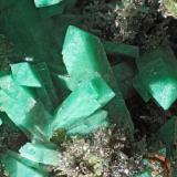 Adamite (var. cuprian adamite), Mimetite, Duftite,  Conichalcite
Tsumeb, Namibia
Largest crystal 3 mm (Author: Herman van Dennebroek)