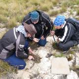3 students busy removing a large pocket of exciting quartz. (Author: Pierre Joubert)