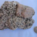 Granodiorita (Muestra problema-3)
Cala Estreta, Palamós, Girona
Aquí el megacristal tiene unos 2 x 4 cm y es de color rosado, a diferencia del feldespato potásico anterior que es blanco. En este caso no tengo una foto de la zona de extracción. Creo que también se trata de granodiorita con megacristales de feldespato-K, que supongo que será Ortoclasa. En la zona está descritos: el granito biotítico, la granodiortita con megacristales de felespato-K, leuco granitos y diversas rocas filonianas. En este caso la muestra no procedía de un filón, si no de la masa principal. (Autor: germanvet)