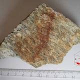 Gneis ocelar (sección transversal: cara T)
Charches, Granada, Andalucía, España
6&rsquo;5 x 10 cm. (Autor: prcantos)