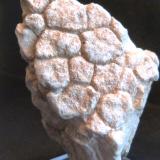 Caliza
Guadalupe, Ubeda, Jaén, Andalucía, España
5,5 x 8 x 4 cm.
Grietas de desecación fosilizadas (Autor: Felipe Abolafia)