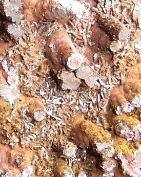 Cristales tabulares de goethita/hematita en espeleotemas (tamaño de la muestra- 6cm). Morro das Balas, Formiga, MG-Brasil (Autor: Anisio Claudio)