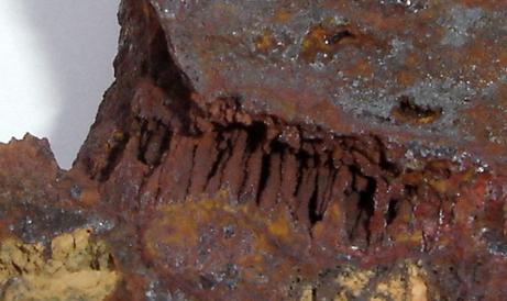 Estalactitas (0,6cm) de hematites/ goethita en crosta ferruginosa. Morro das Balas, Formiga- MG (Autor: Anisio Claudio)